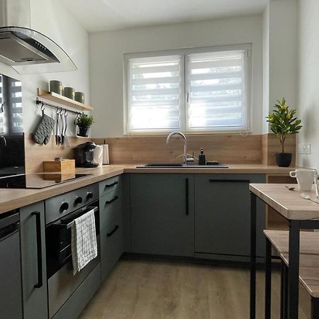 Appartement Complet Tout Confort - 4Pers - Parking ميتز المظهر الخارجي الصورة